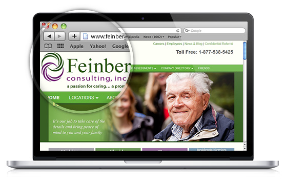 Feinberg-Consulting