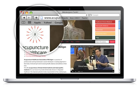 Acupuncture Healthcare Associates of Michigan